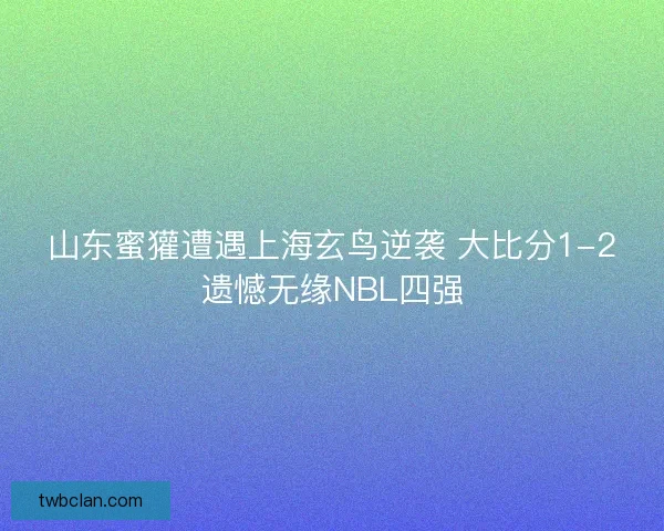 山东蜜獾遭遇上海玄鸟逆袭 大比分1-2遗憾无缘NBL四强
